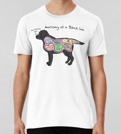 Anatomy Of A Black Lab T-shirt