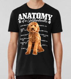 Anatomy Of A Goldendoodle Funny Cute Dog Doodle Mom Dad T-shirt