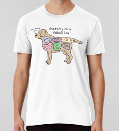 Anatomy Of A Yellow Lab T-shirt