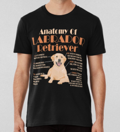 Anatomy Of Labrador Retriever T-shirt